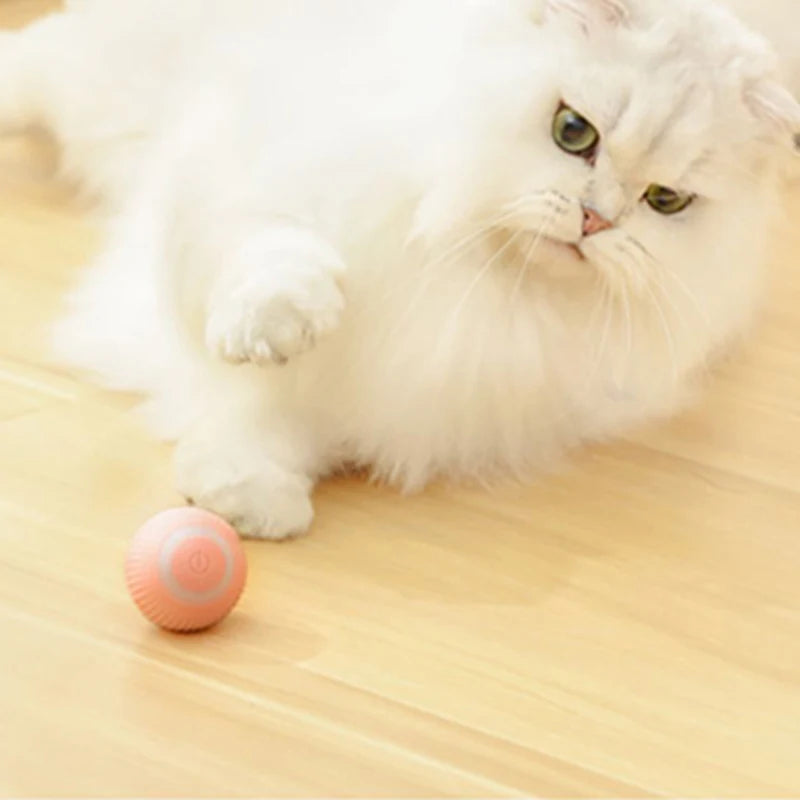 Cat Toy Automatic Moving Interactive Ball Rechargeable Self Rolling Entertainment Play Toy