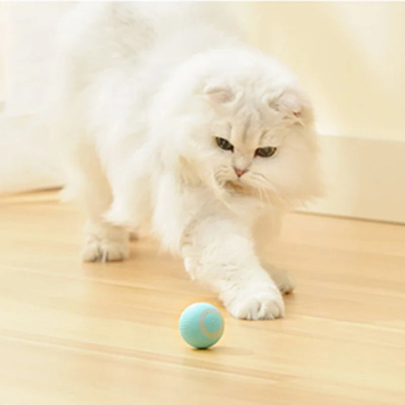 Cat Toy Automatic Moving Interactive Ball Rechargeable Self Rolling Entertainment Play Toy