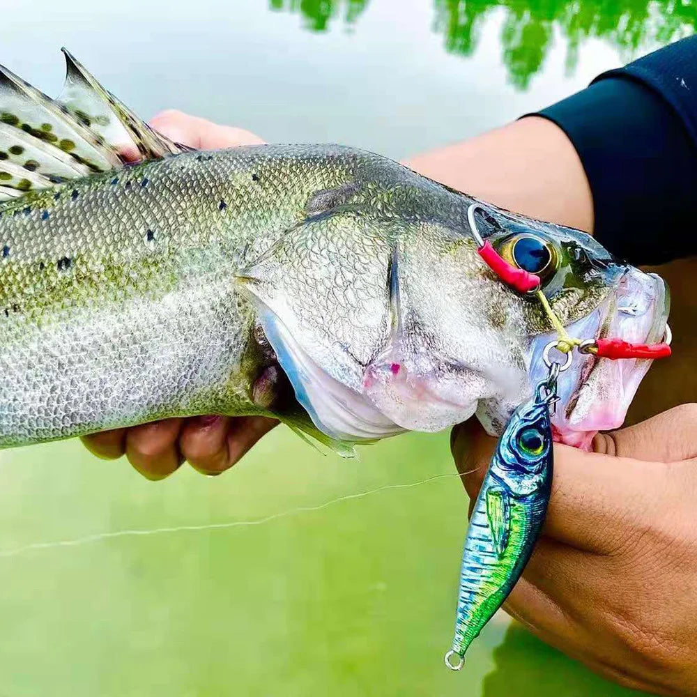 3D OffShore Saltwater Fishing Jig, Tuna Wahoo Jigging Lures