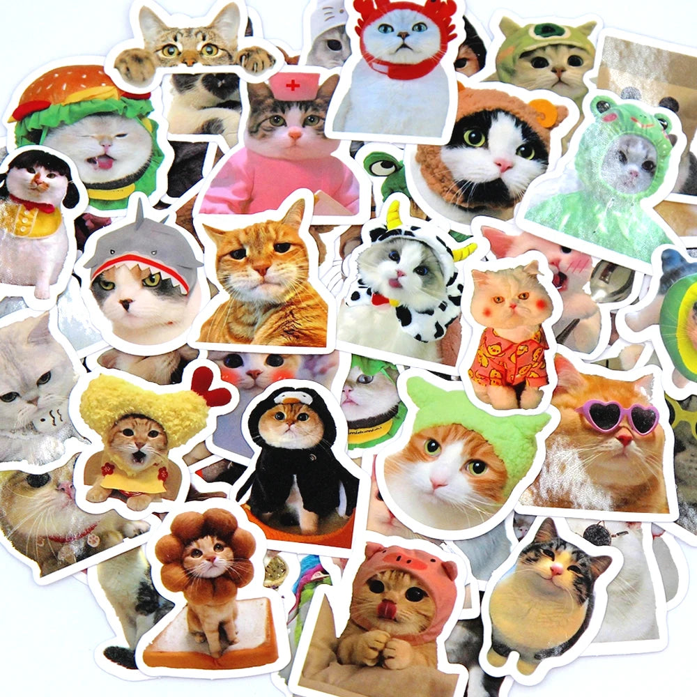 50/100pcs Funny Cat Stickers Cartoon Cute Decals Toy Stationery Guitar Phone Bicycle Laptop Luggage Car Graffiti Kids Sticker