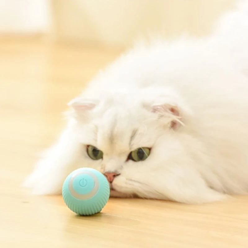 Cat Toy Automatic Moving Interactive Ball Rechargeable Self Rolling Entertainment Play Toy