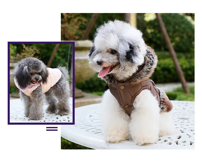 Hooded Pet Products Dog Clothes Winter Pet Clothing Hoodies Dog Puppy Jacket XS-3XL