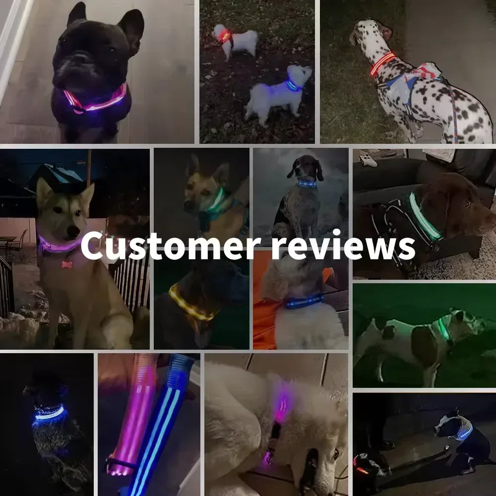 LED Glowing Dog Collar Flashing Rechargeable Luminous Night Harness Dogs/Pets