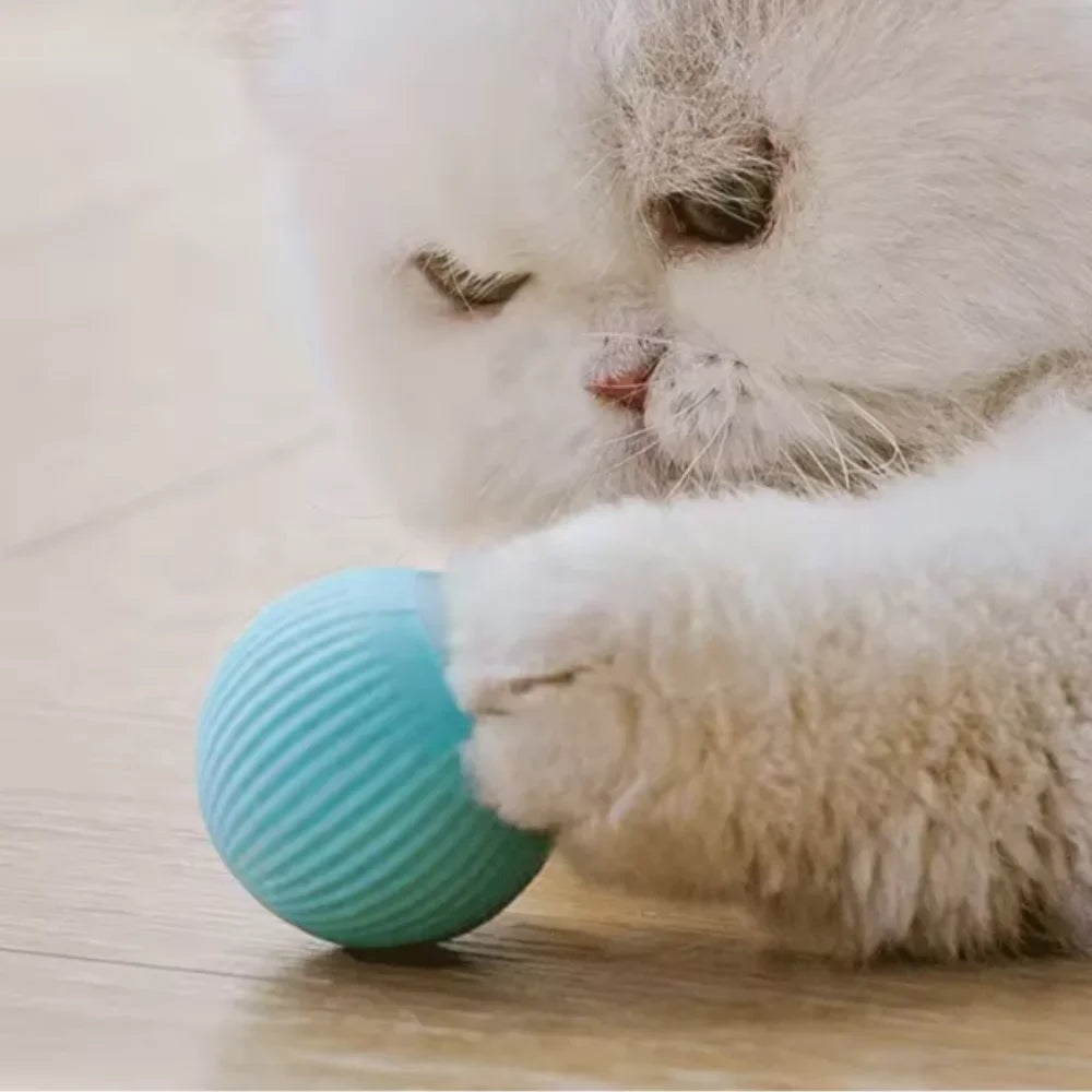 Cat Ball Toys Automatic Rolling Smart Cat Toys Interactive Training Self-moving Toys for Indoor Play