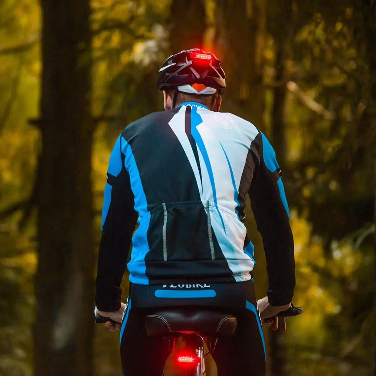 LumaRide Rear Bike Tail Light - Ultra Bright USB LED