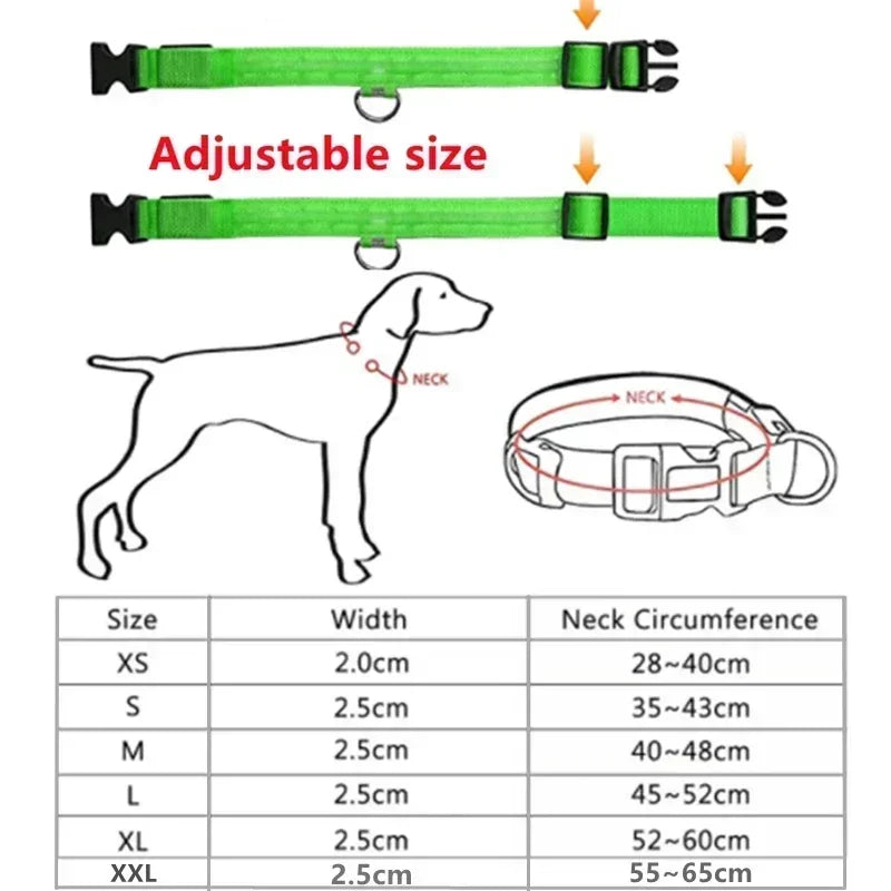 LED Glowing Dog Collar Flashing Rechargeable Luminous Night Harness Dogs/Pets