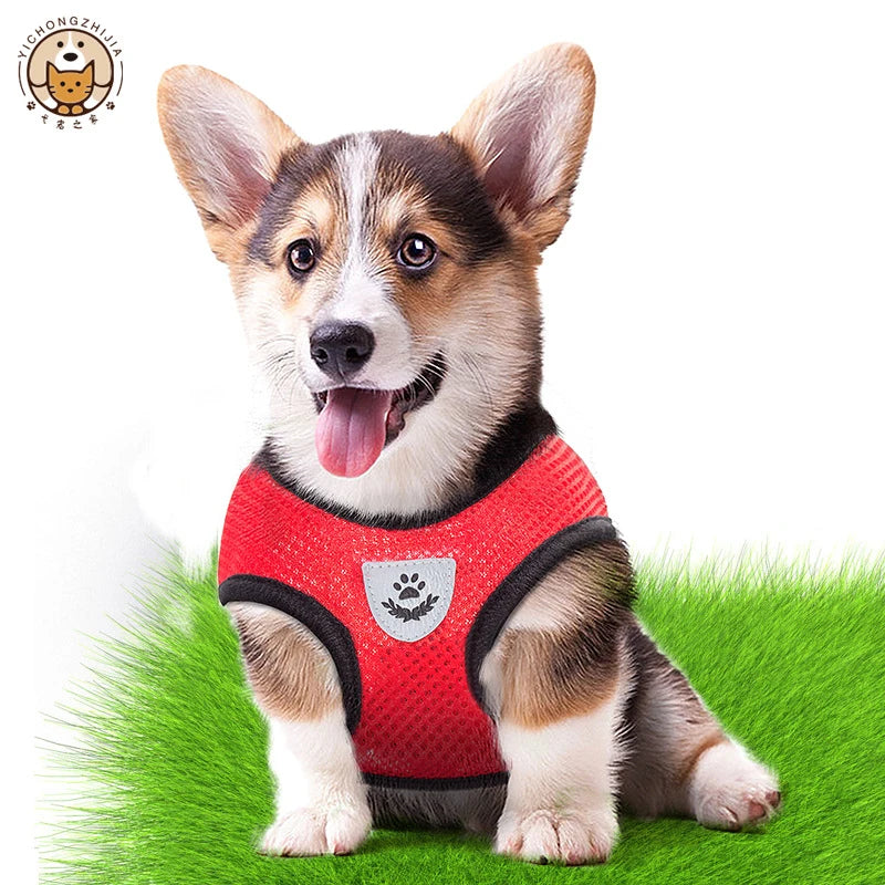 Harness Vest Walking Lead Leash For Puppy dog Collar Polyester Adjustable Mesh Dog or Cat Harness For Small Medium Pets