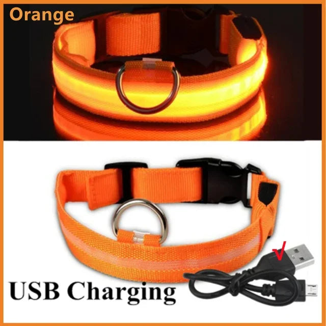 LED Glowing Dog Collar Flashing Rechargeable Luminous Night Harness Dogs/Pets