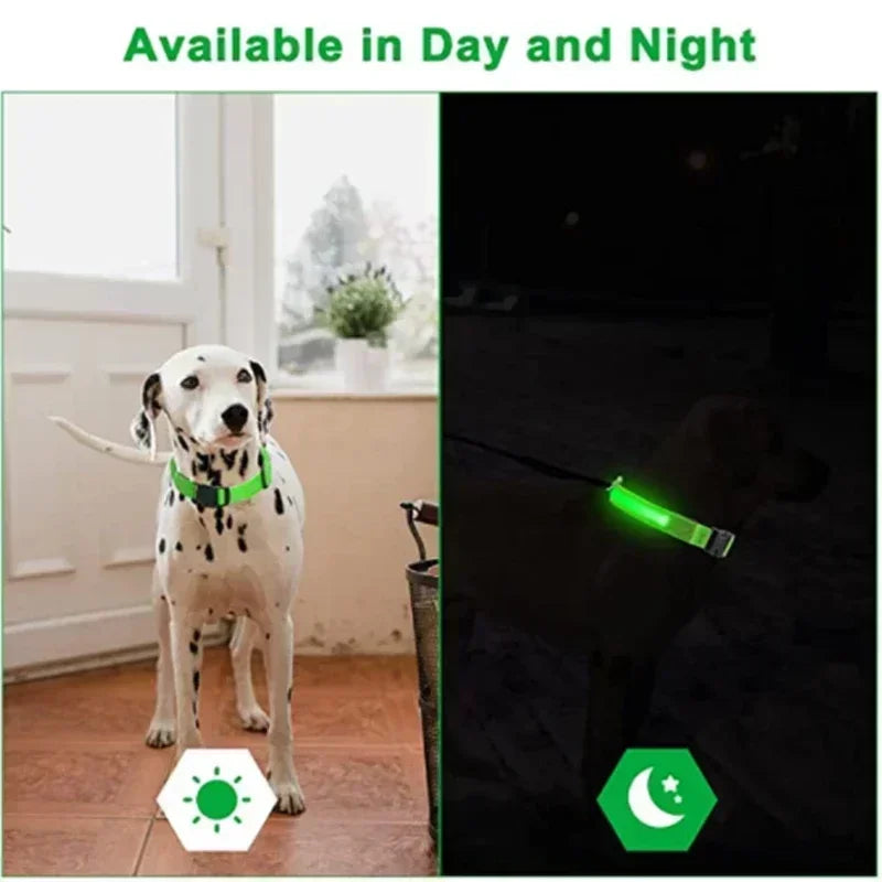 LED Glowing Dog Collar Flashing Rechargeable Luminous Night Harness Dogs/Pets