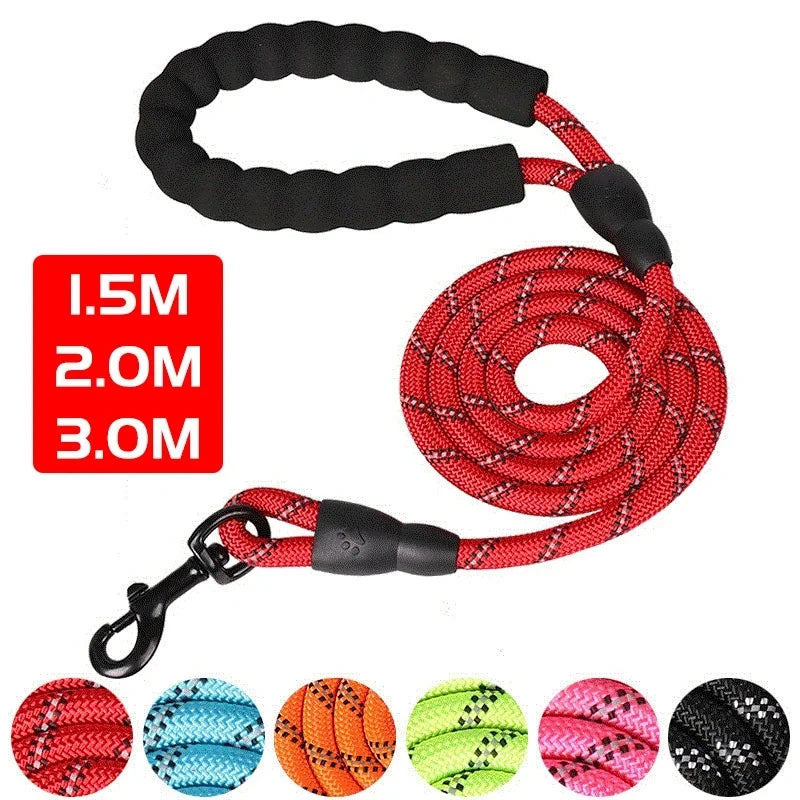 Reflective Dog Leash Padded Handle - Dual Traction for Strong Dogs Safety Control