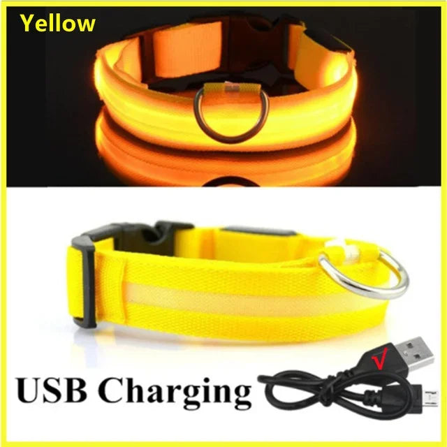 LED Glowing Dog Collar Flashing Rechargeable Luminous Night Harness Dogs/Pets