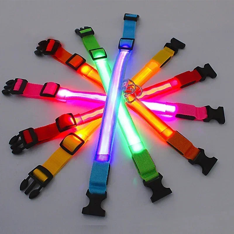 LED Glowing Dog Collar Flashing Rechargeable Luminous Night Harness Dogs/Pets